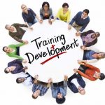 Training and Development